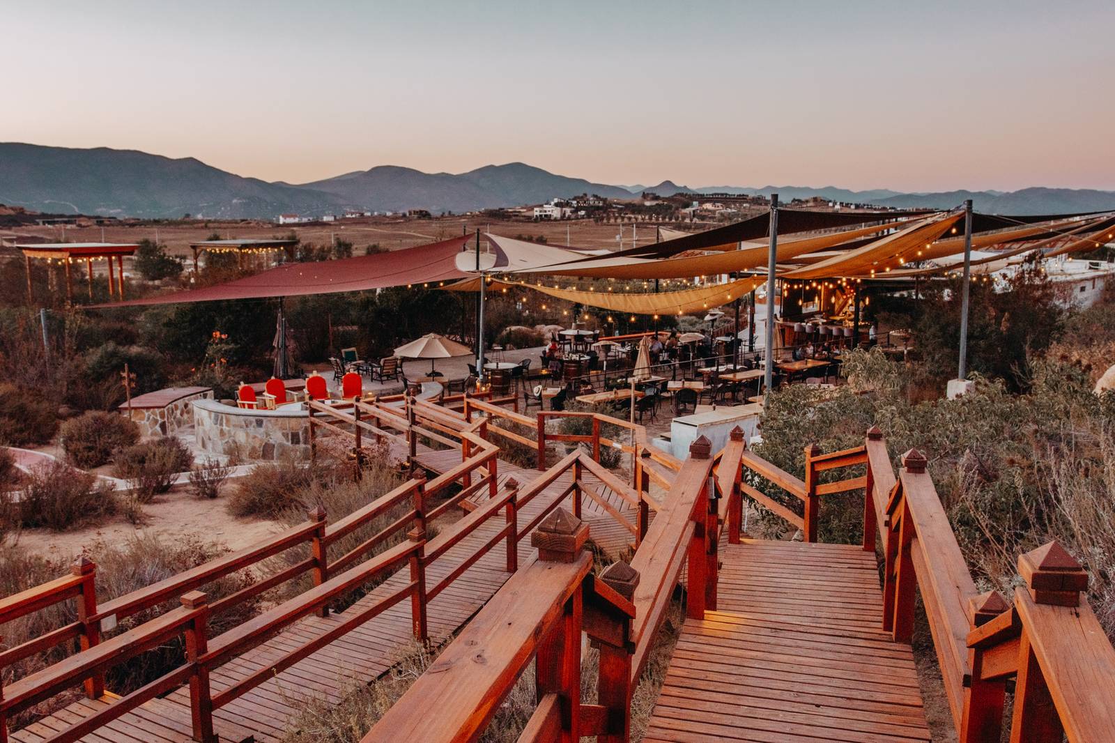 Viñedos del Valle de Guadalupe al atardecer, Baja California