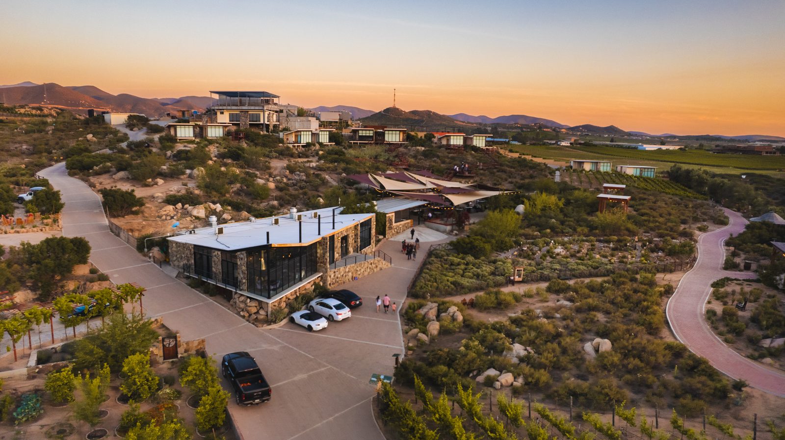 Rutas del vino en el Valle de Guadalupe: cómo planear tu visita