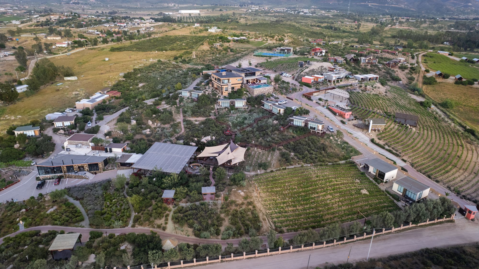 Viñedos del Valle